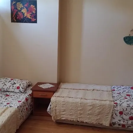 펜션 Butik Villa's 페티예